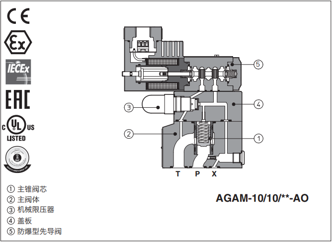 AGAM-20/10/350/PA-NPT-AO/24DC